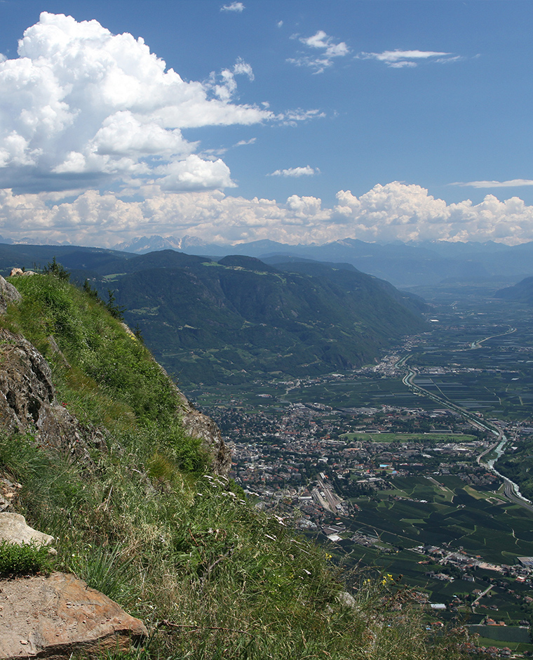 Vista panoramica verso Merano e dintorni dalla Alta Via di Merano