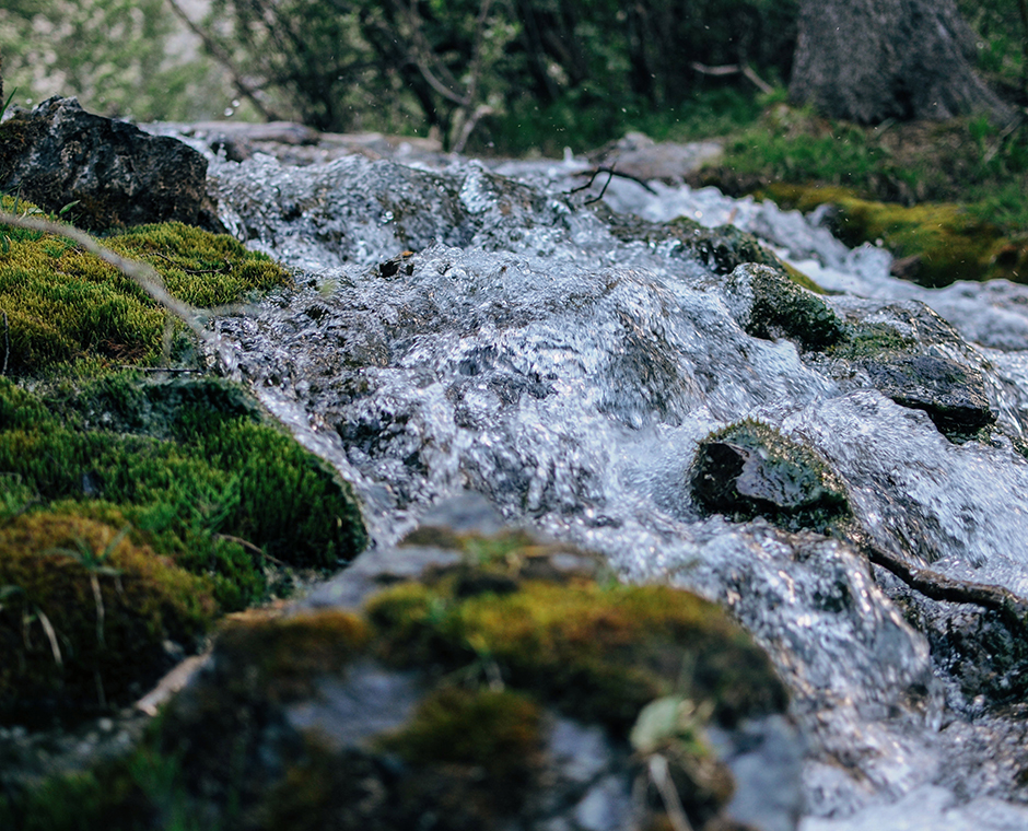 Un piccolo ruscello di montagna nella foresta