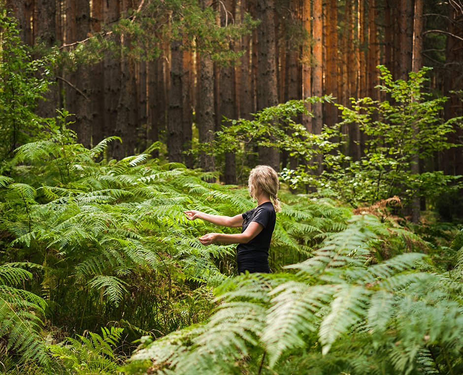 Bagni nella foresta, una donna adulta in mezzo a boschetti di felci che ripristina la salute e la psiche nella natura