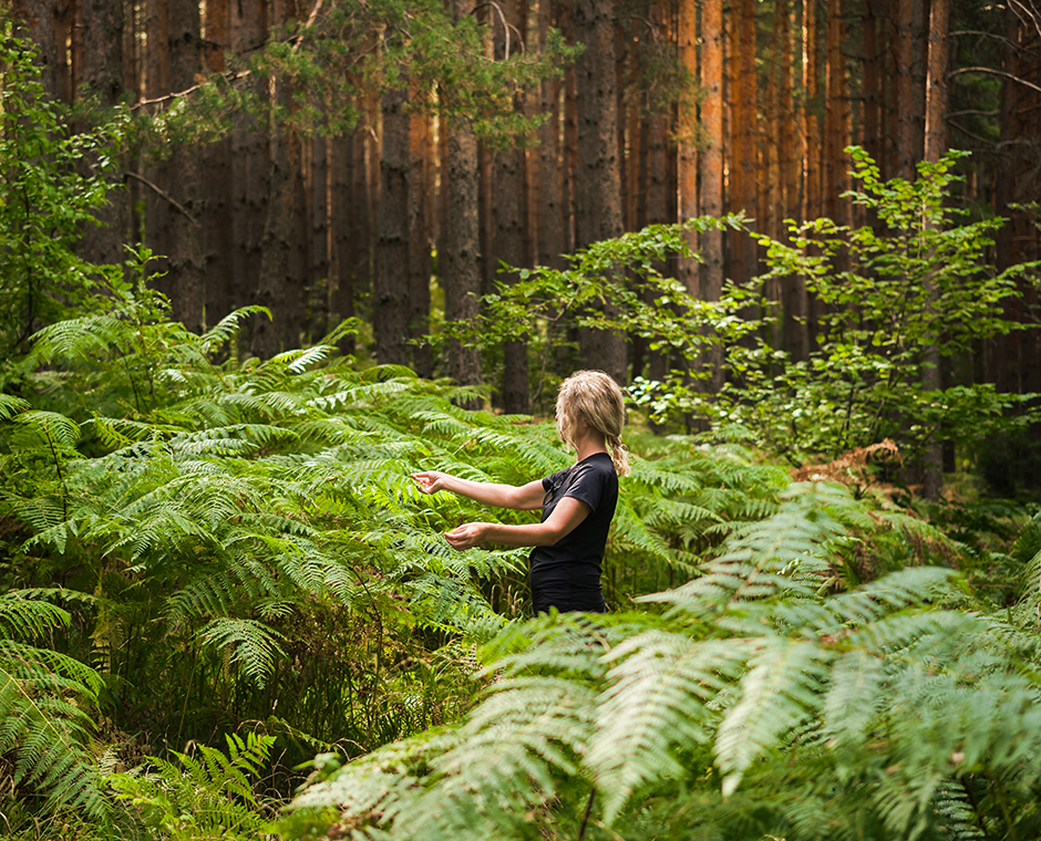 Bagni nella foresta, una donna adulta in mezzo a boschetti di felci che ripristina la salute e la psiche nella natura