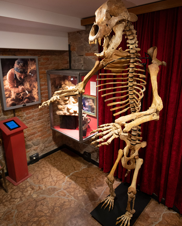 museo dolomythos