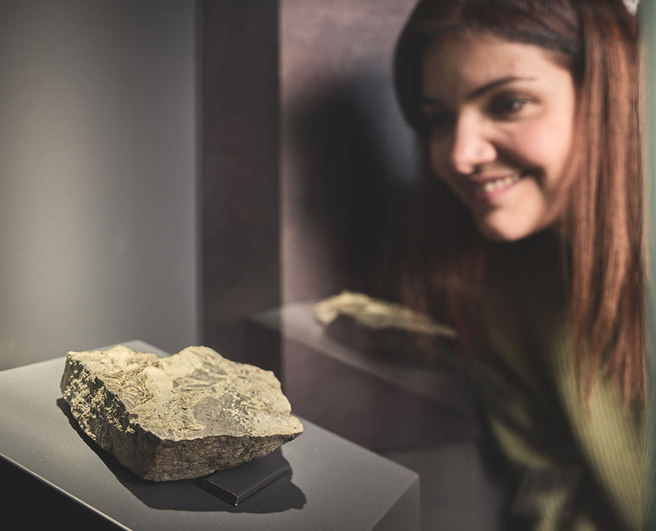 Una donna osserva un fossile in un museo