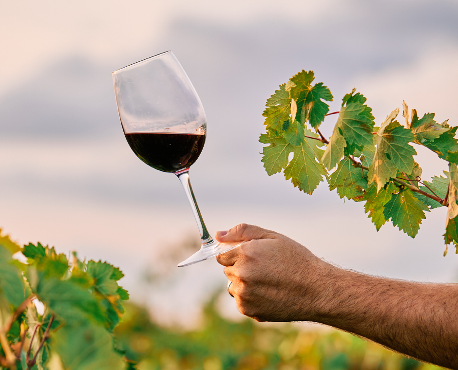 Un bicchiere di vino rosso