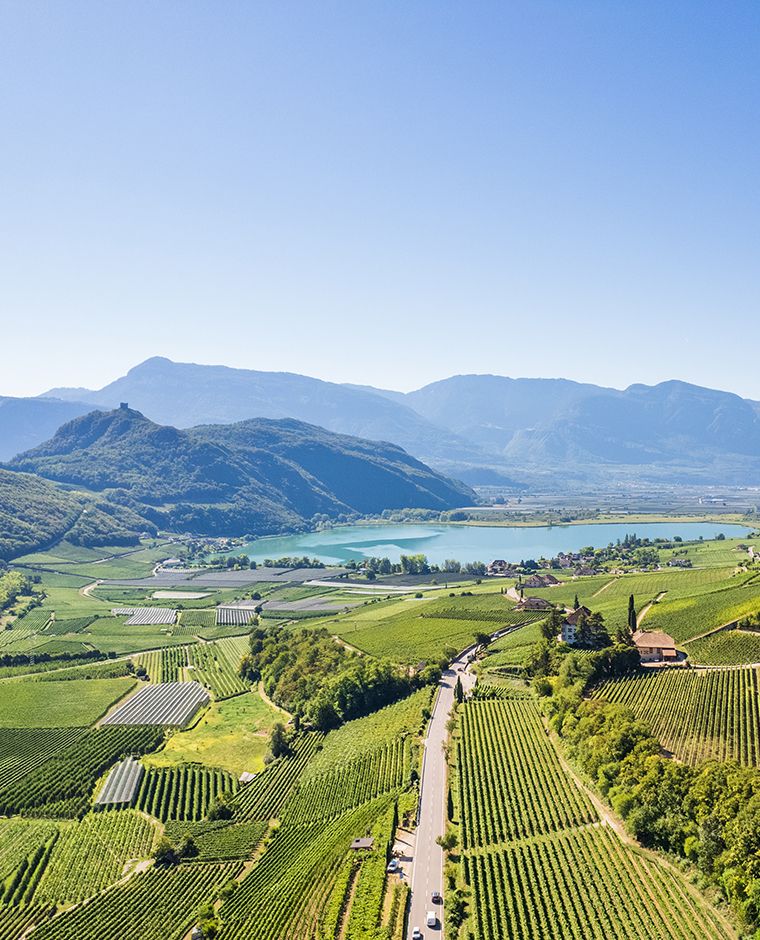 vista dall'alto sulle vigne verso lago di caldaro