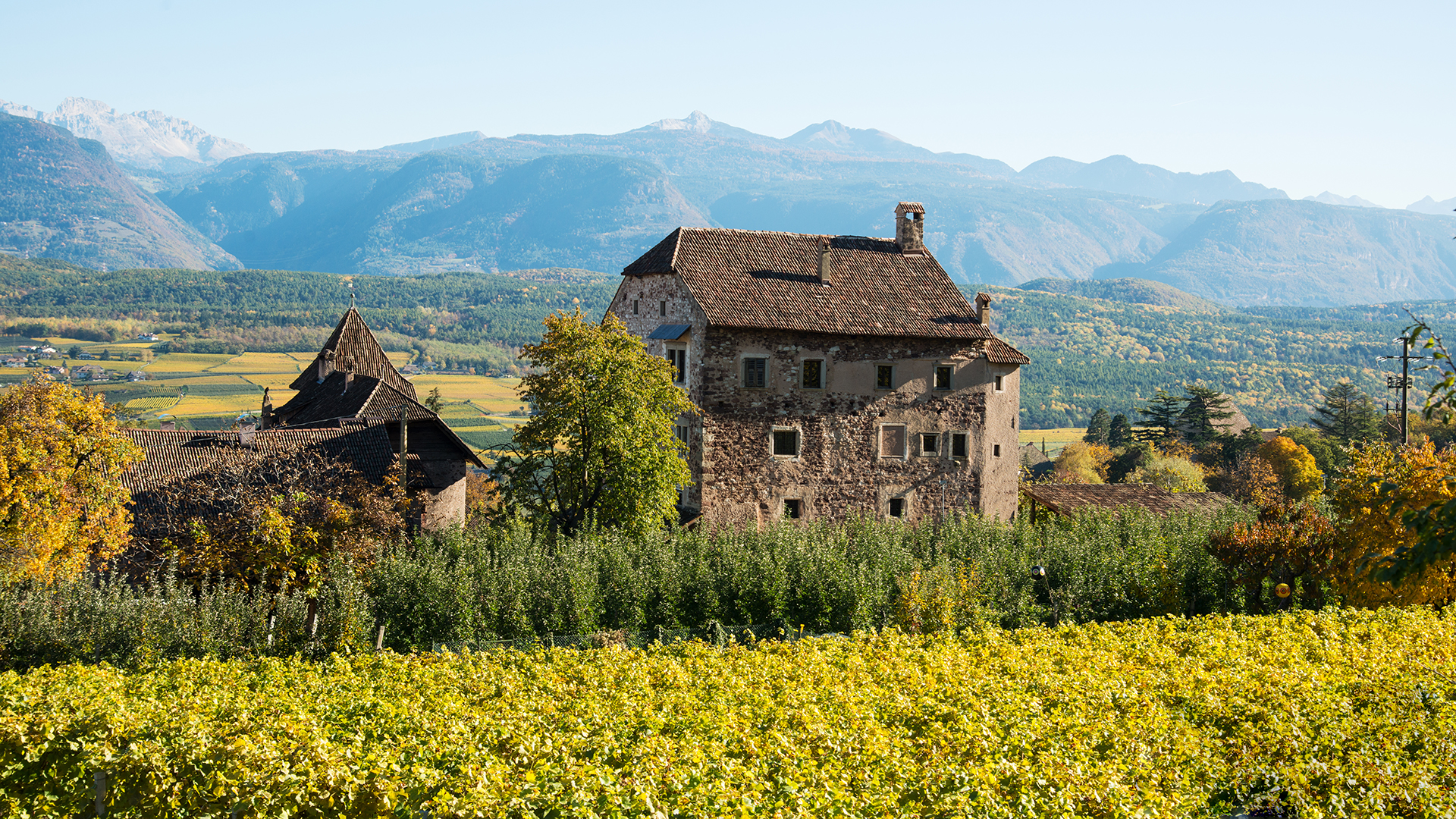 Tenuta antica tra i filari ad Appiano