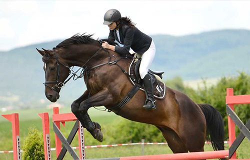 Gran Premio Merano