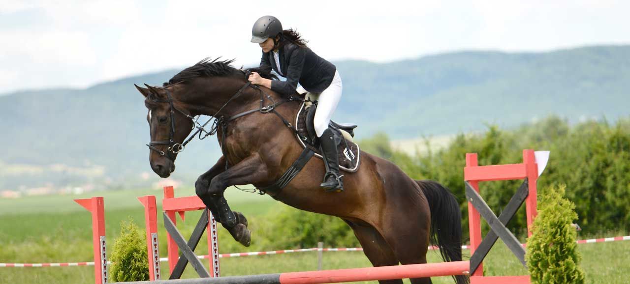 Gran Premio Merano