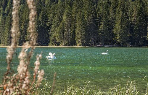 Leggende di Braies