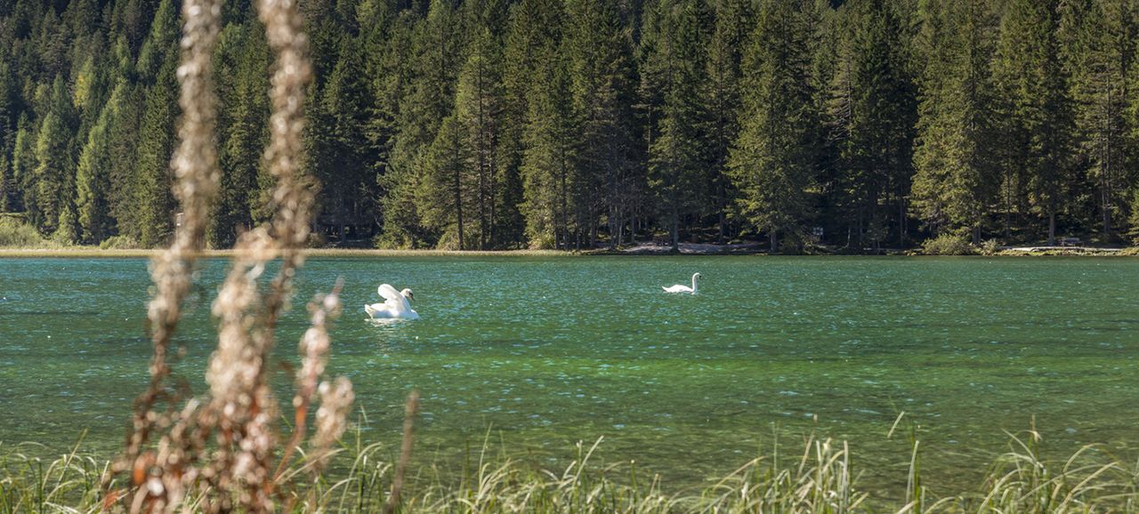 Leggende di Braies