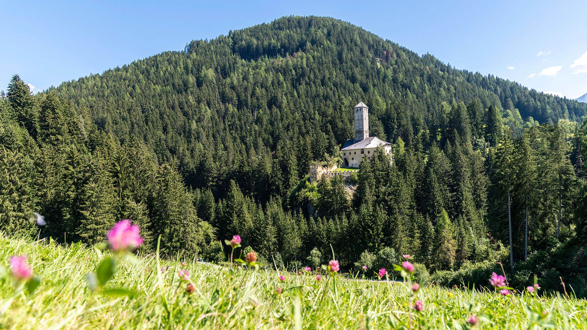 Castel Welsperg - Monguelfo