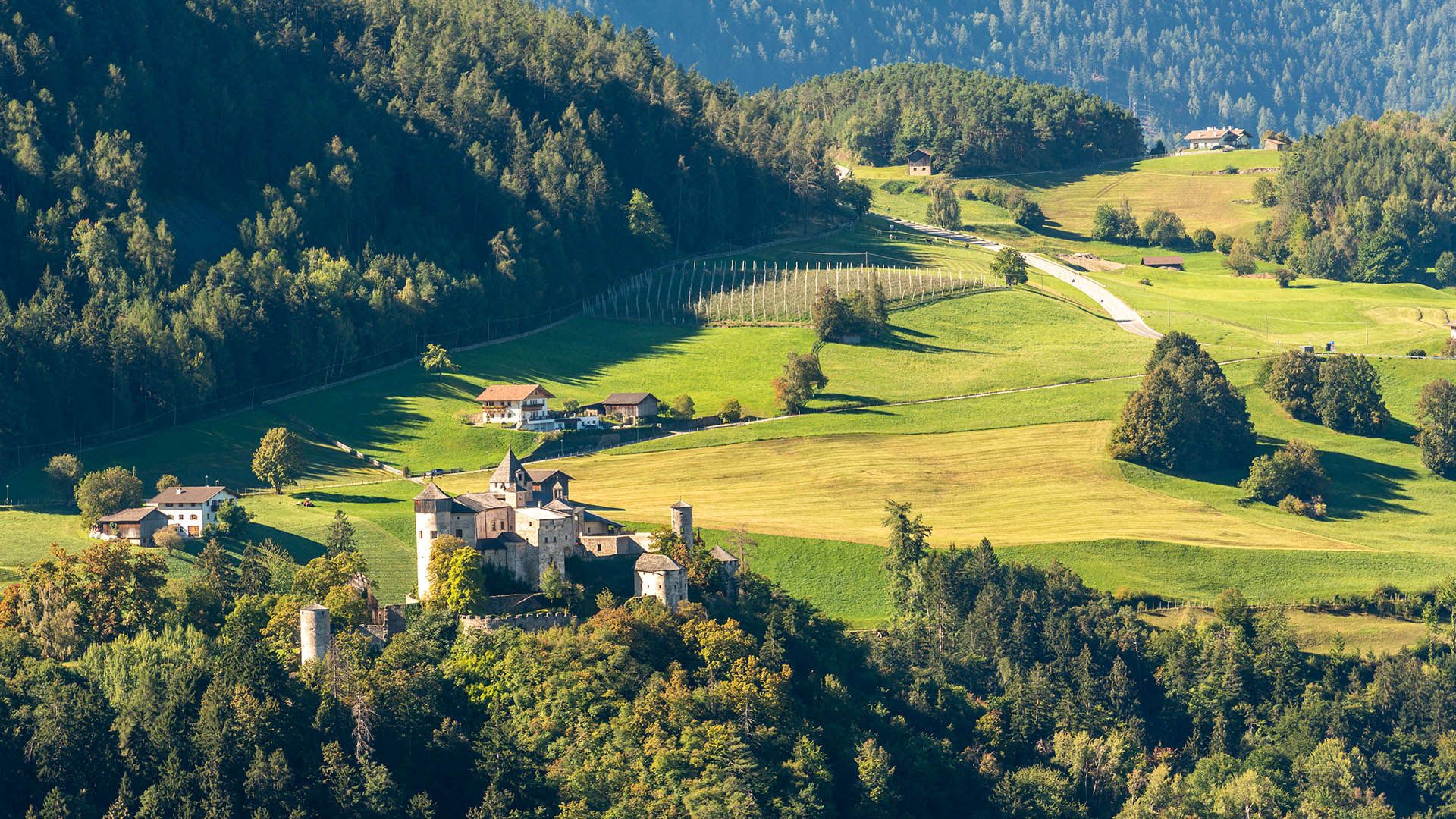 Castel Presule
