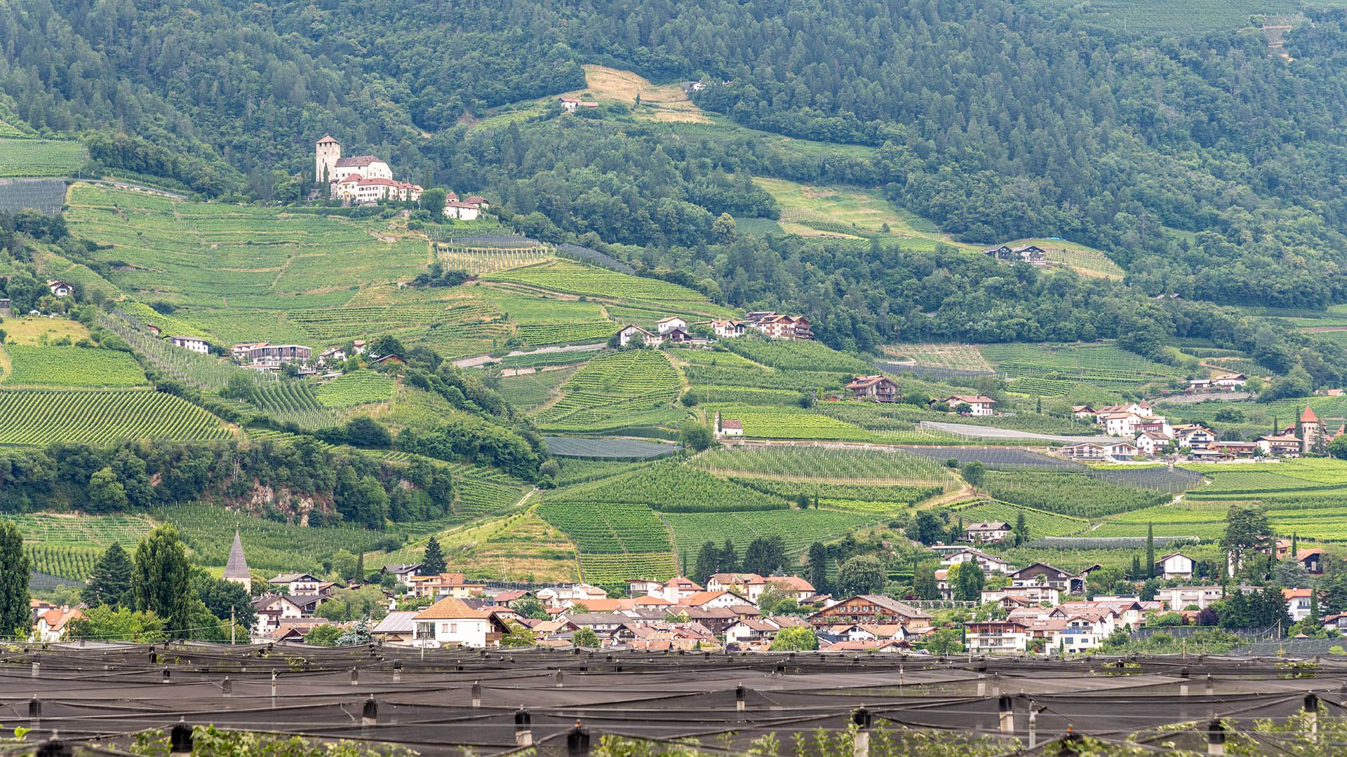 Vista panoramica verso Cermes con il castello sullo sfondo