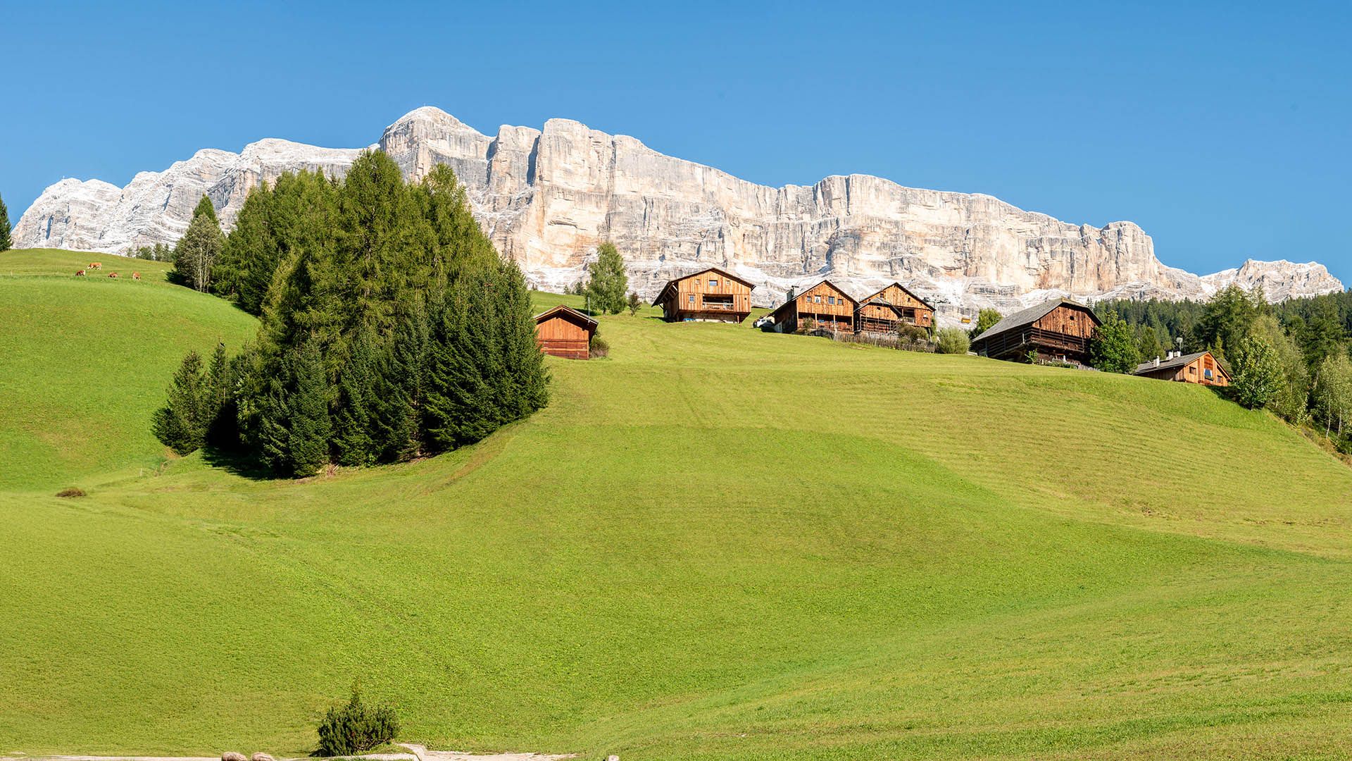 Estate Alta Badia