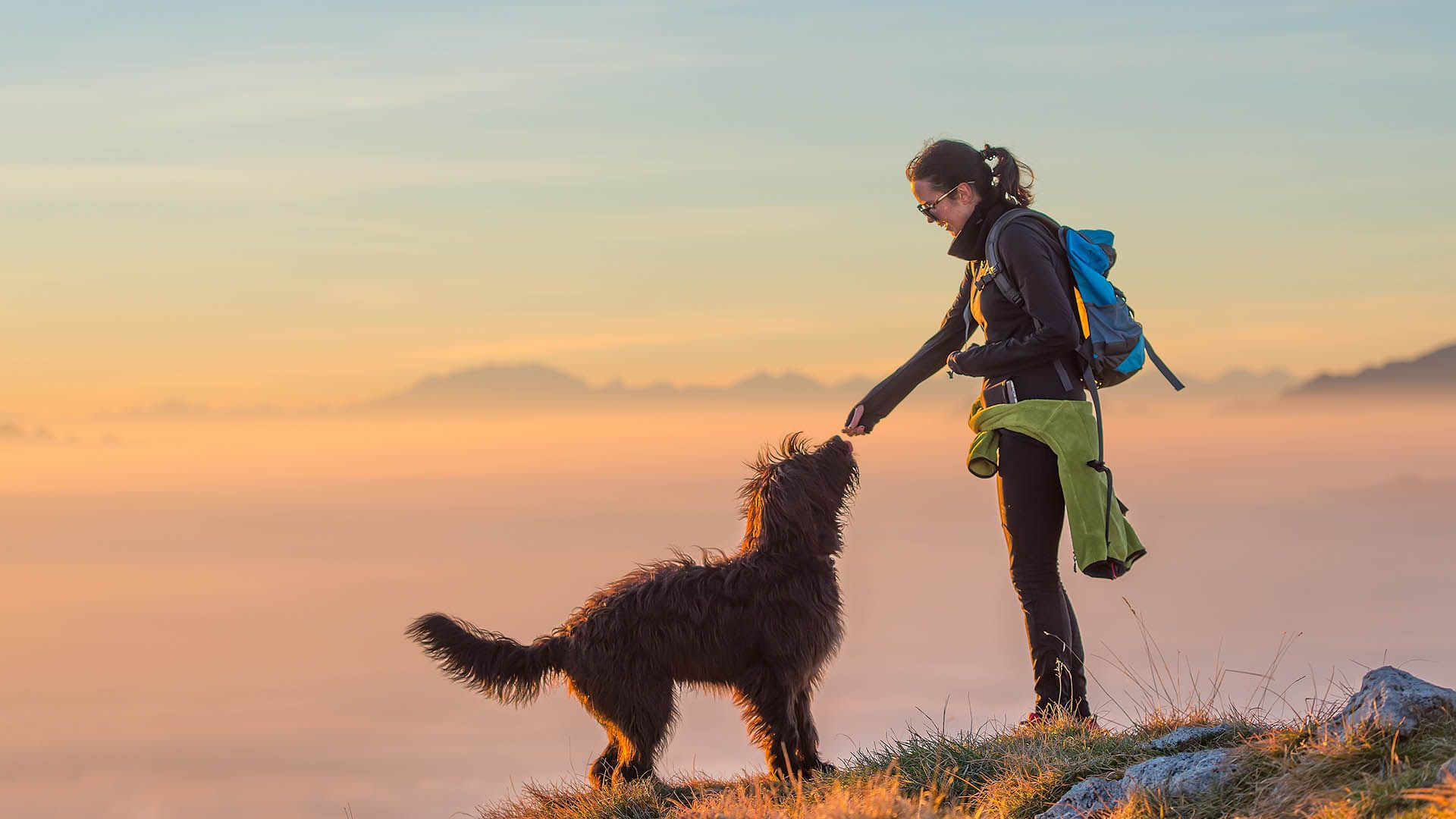 Trekking con cani