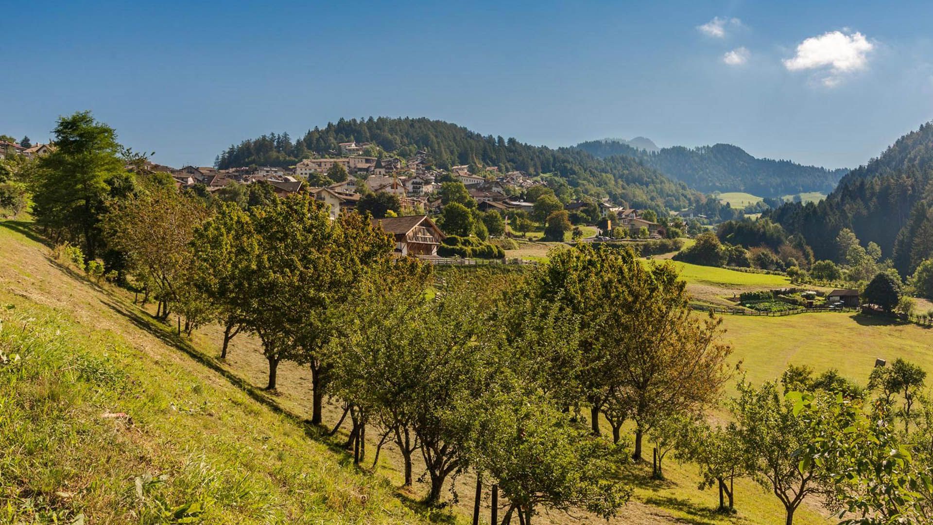 Trodena
