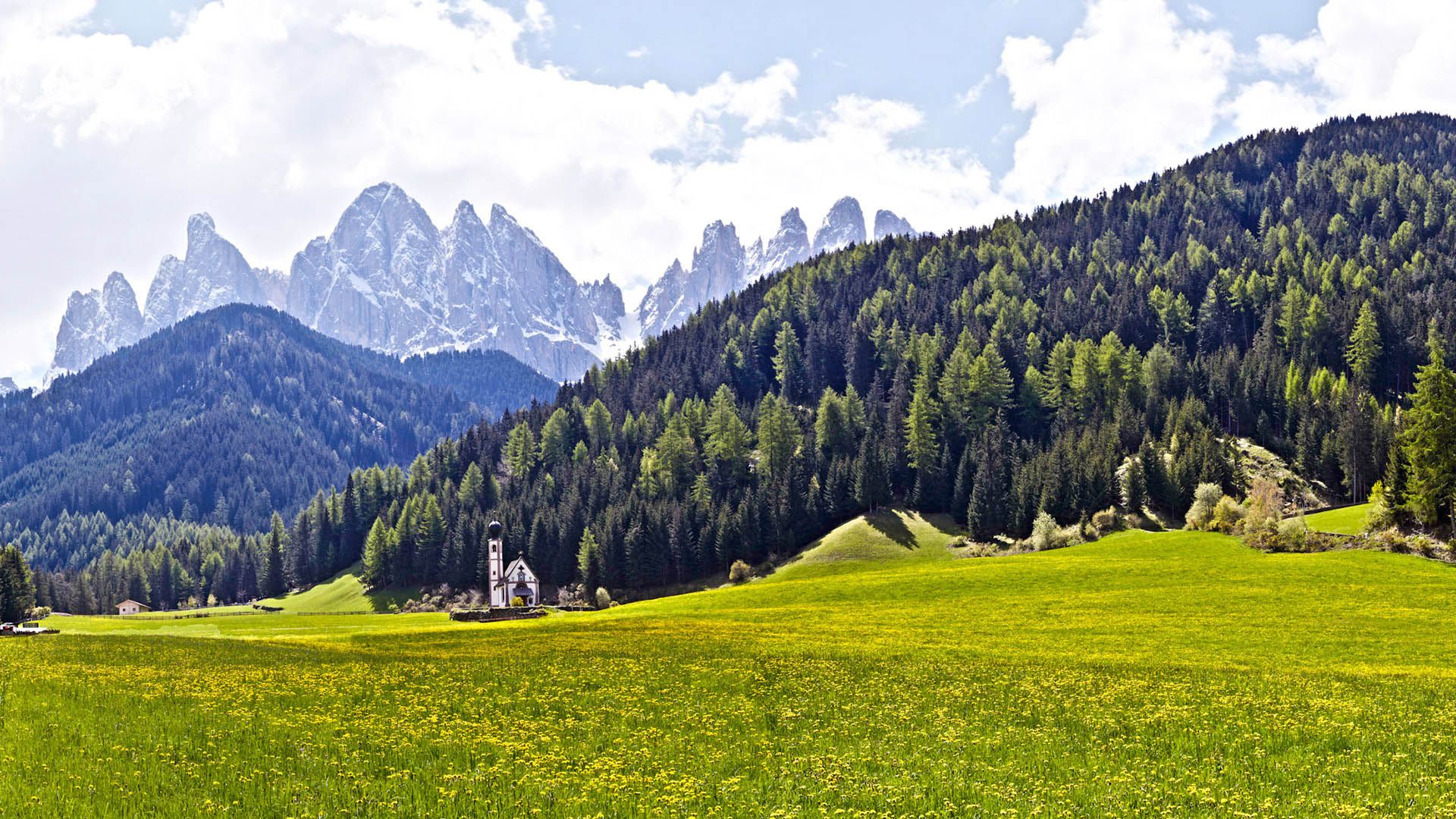 Chiesetta di San Pietro in Val di Funes con le Odle sullo sfondo e prato fiorito