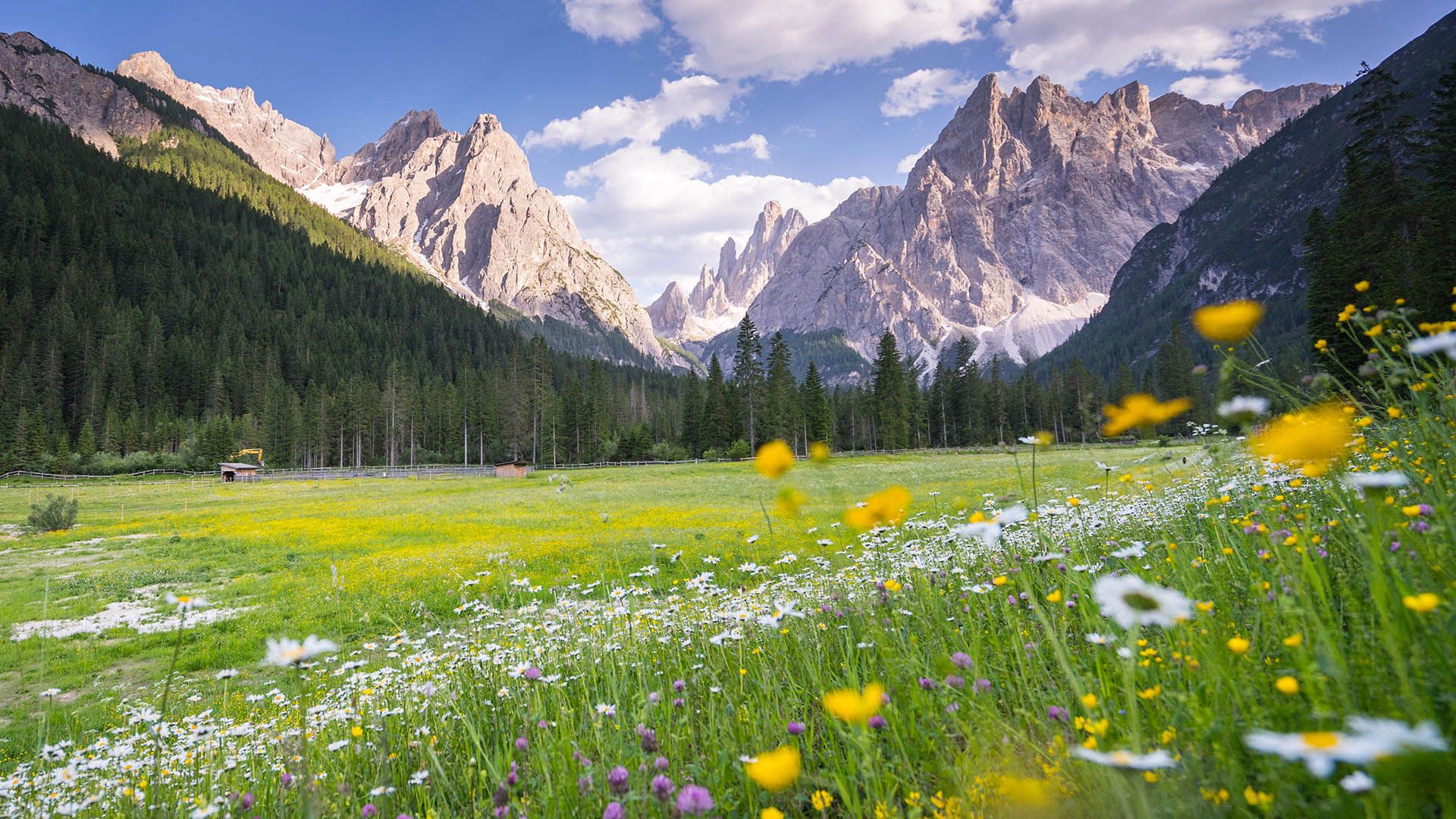 Alta Pusteria e la vista panoramica in Val Fiscalina