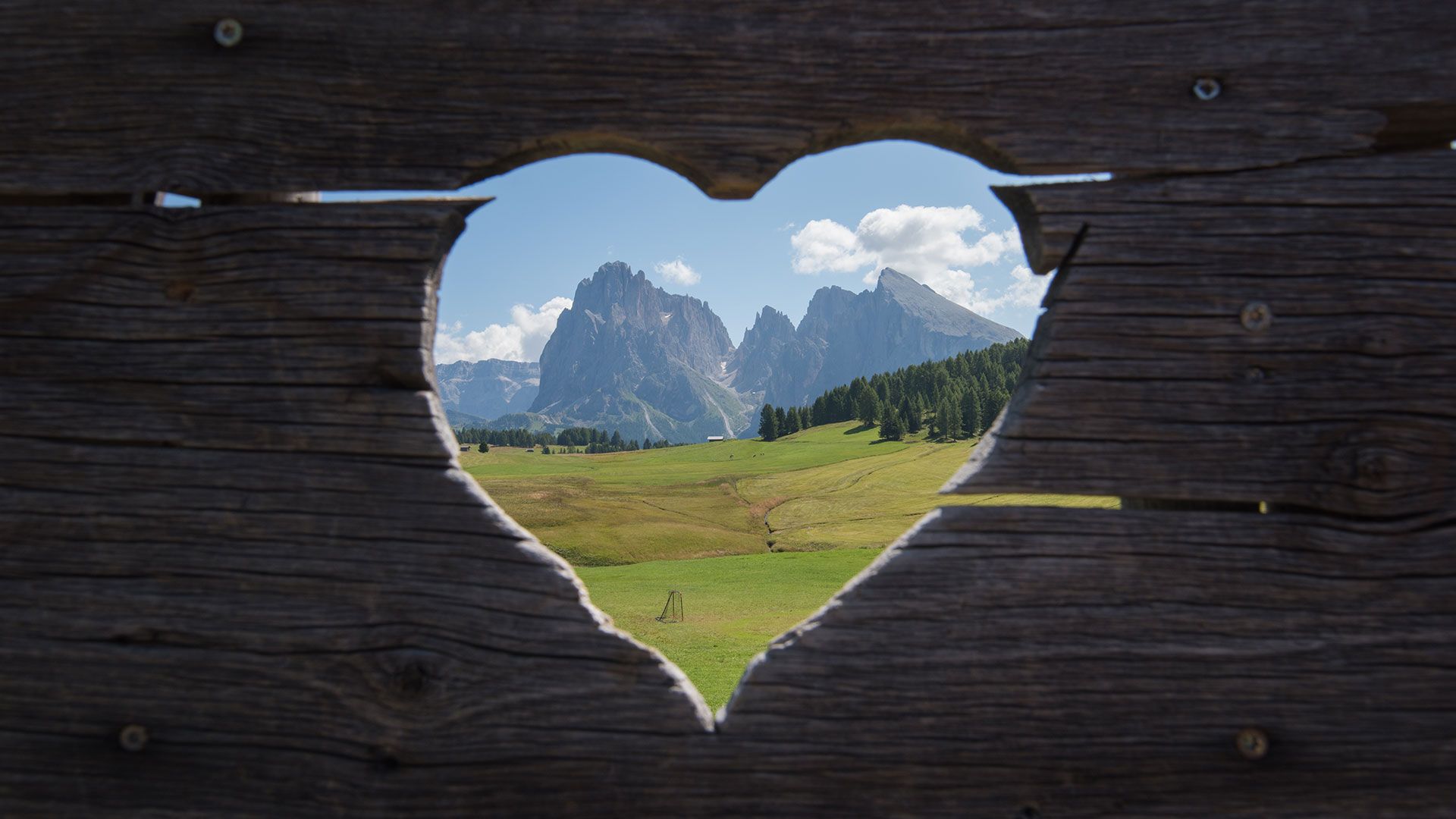 Panorama sul Sassolungo dall’Alpe di Siusi attraverso un cuore in legno