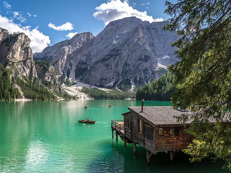 Cigni su lago alpino dalle acque cristalline e foresta sullo sfondo