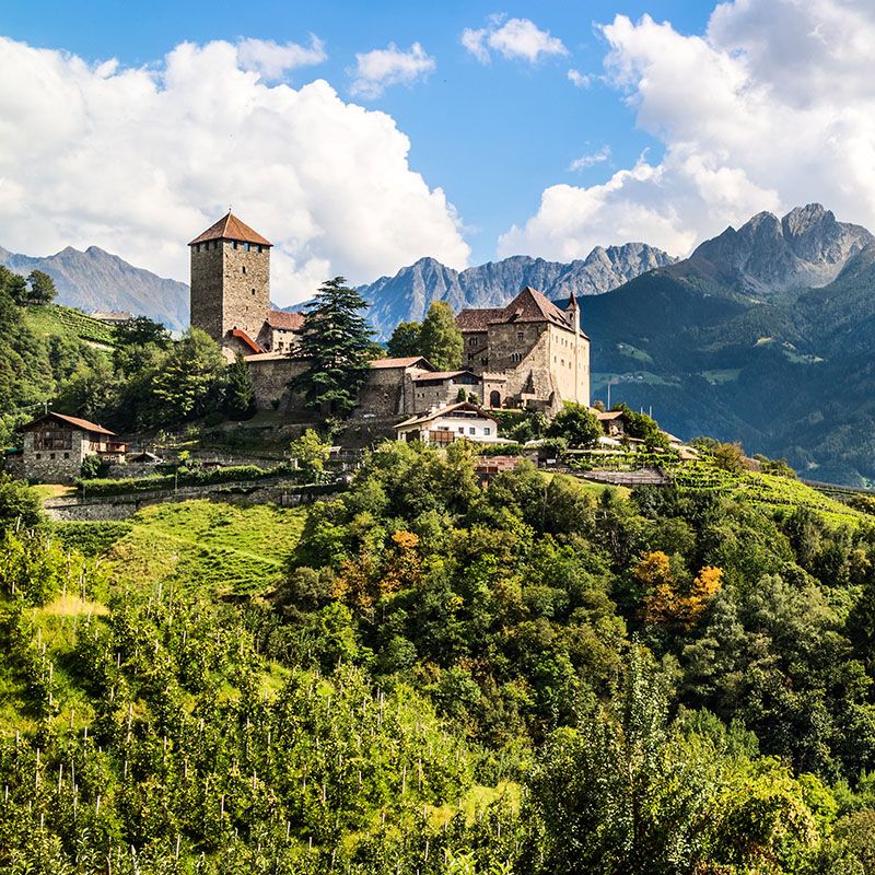 Conti del Tirolo