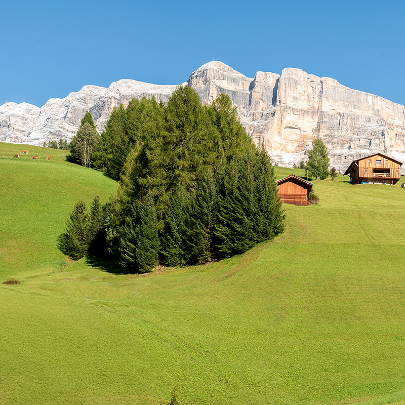 Estate Alta Badia