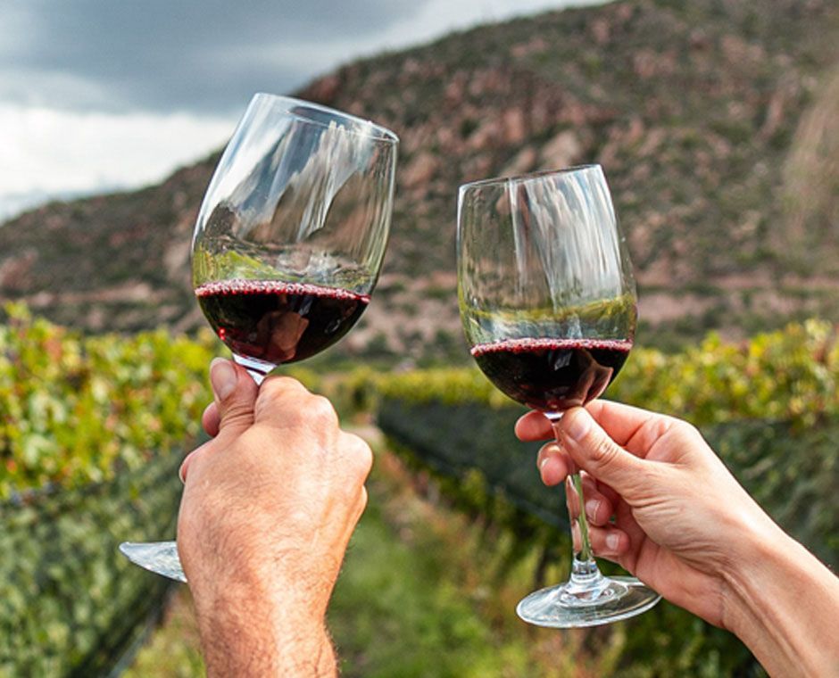 I vini dell'Alto Adige