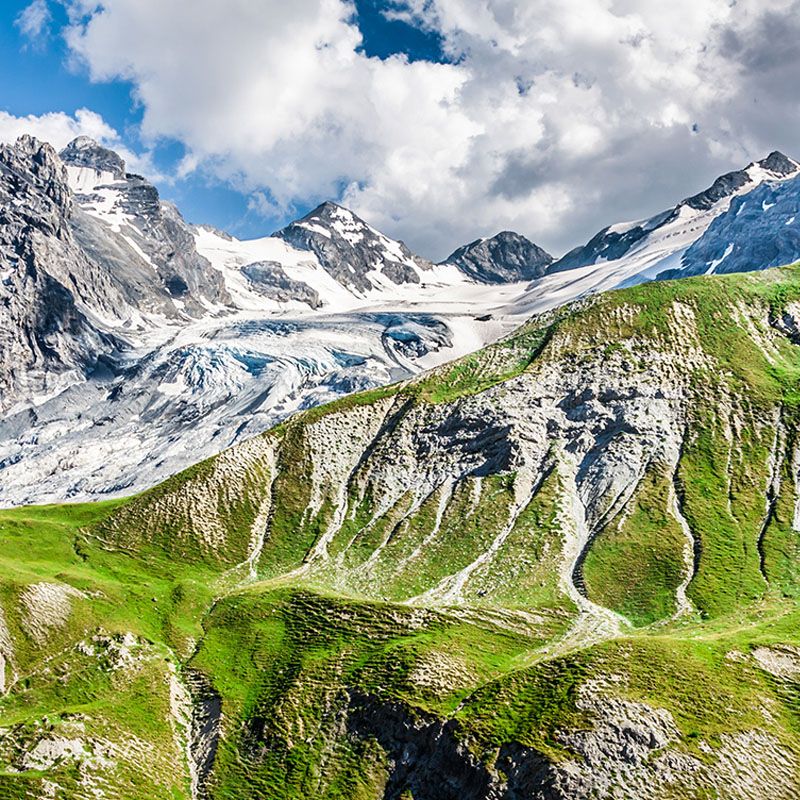 Ortler