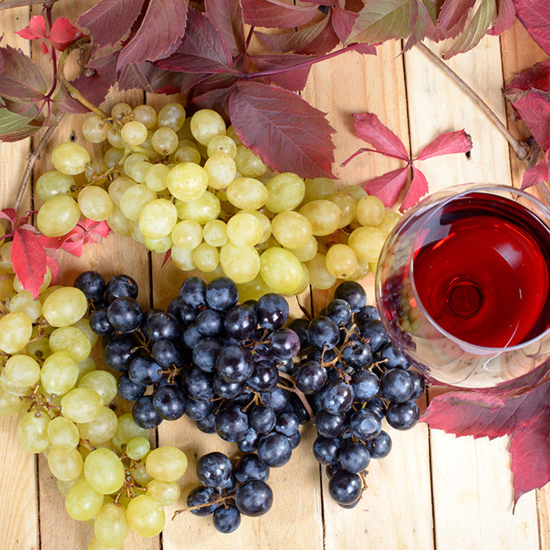 Strada del Vino