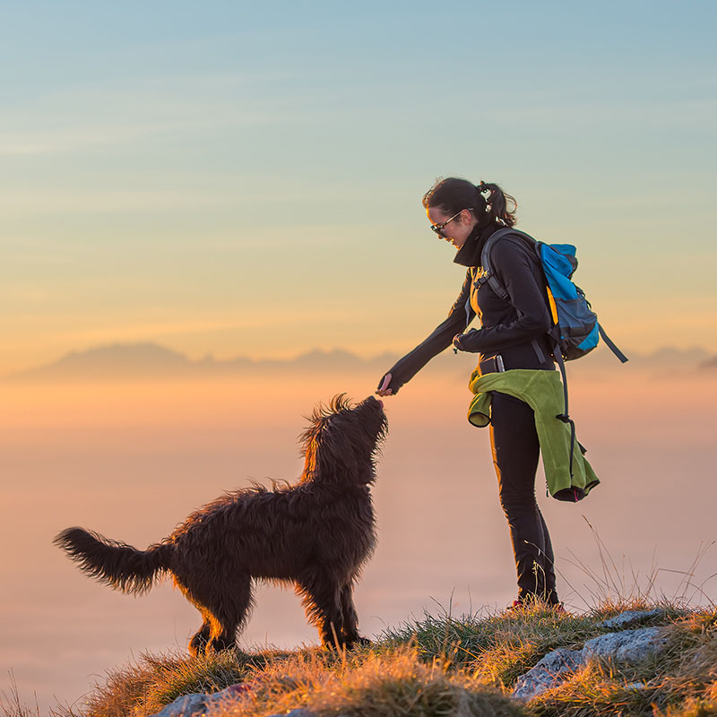 Wandern mit Hund