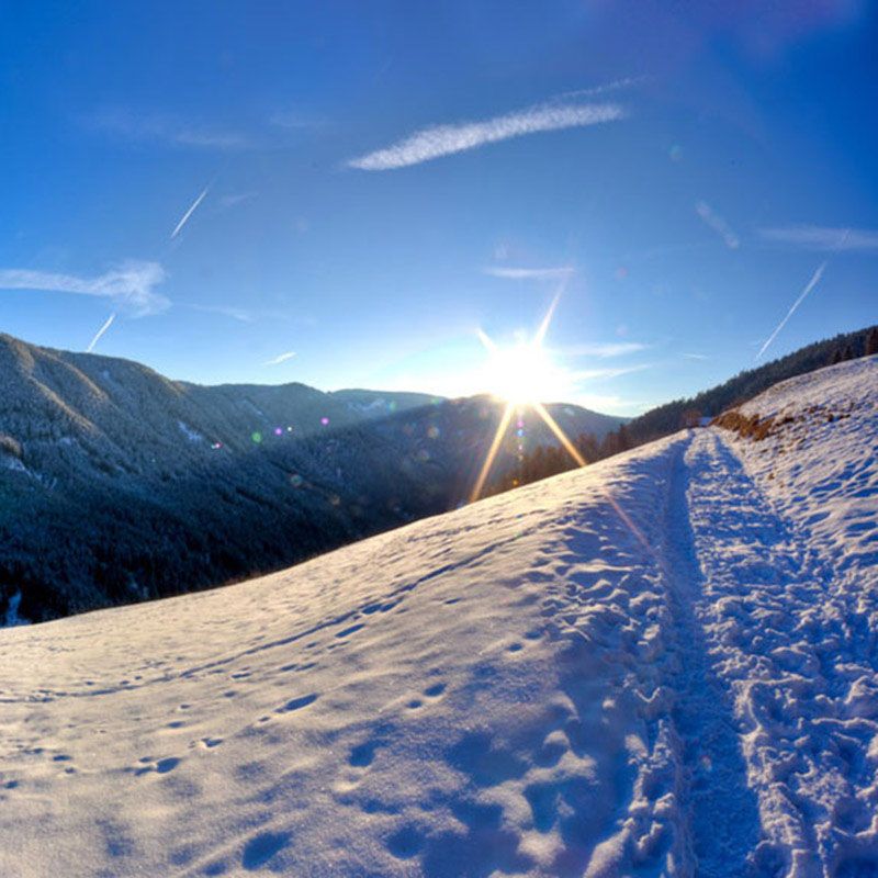 Ski Center Carezza