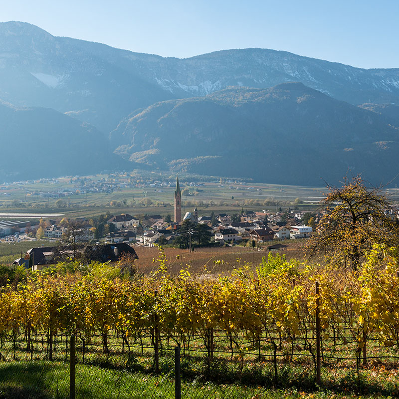 Terlano