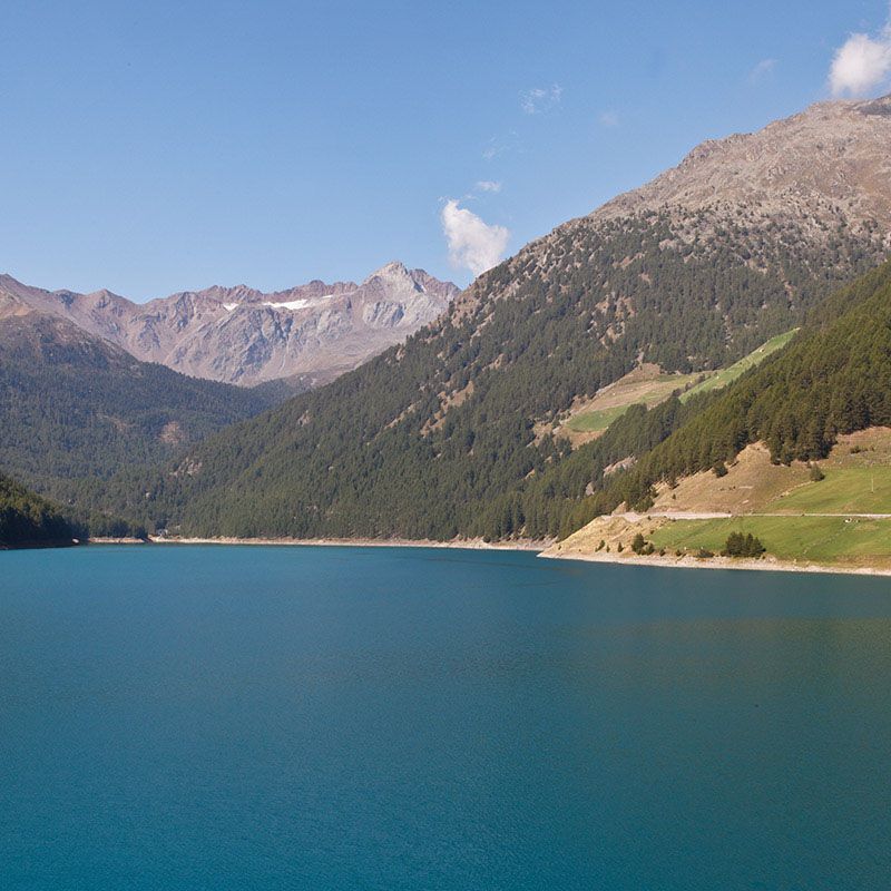 Vernago